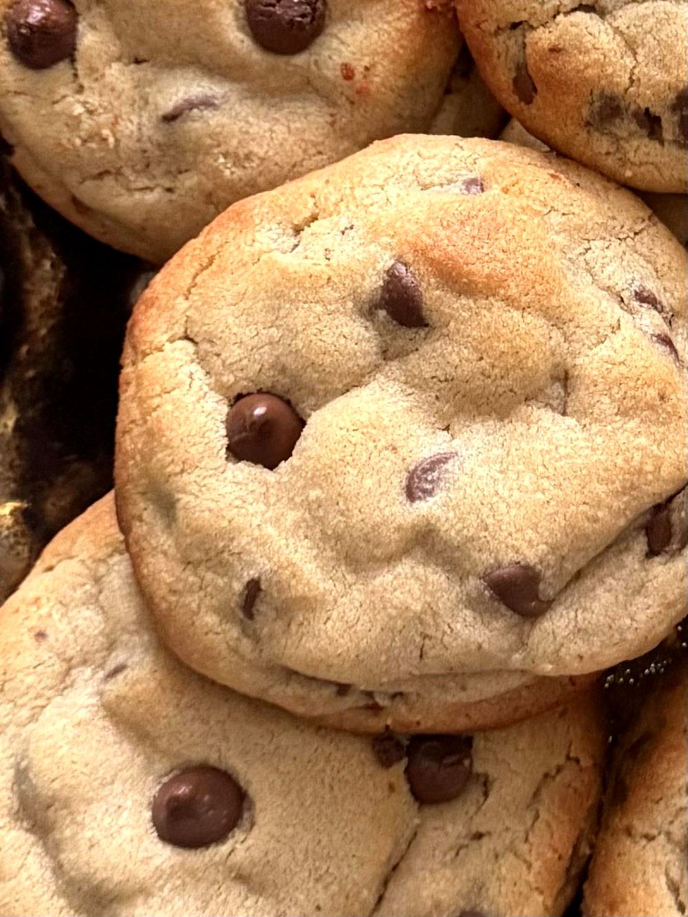 close-up of sunflower butter chocolate chip protein cookies